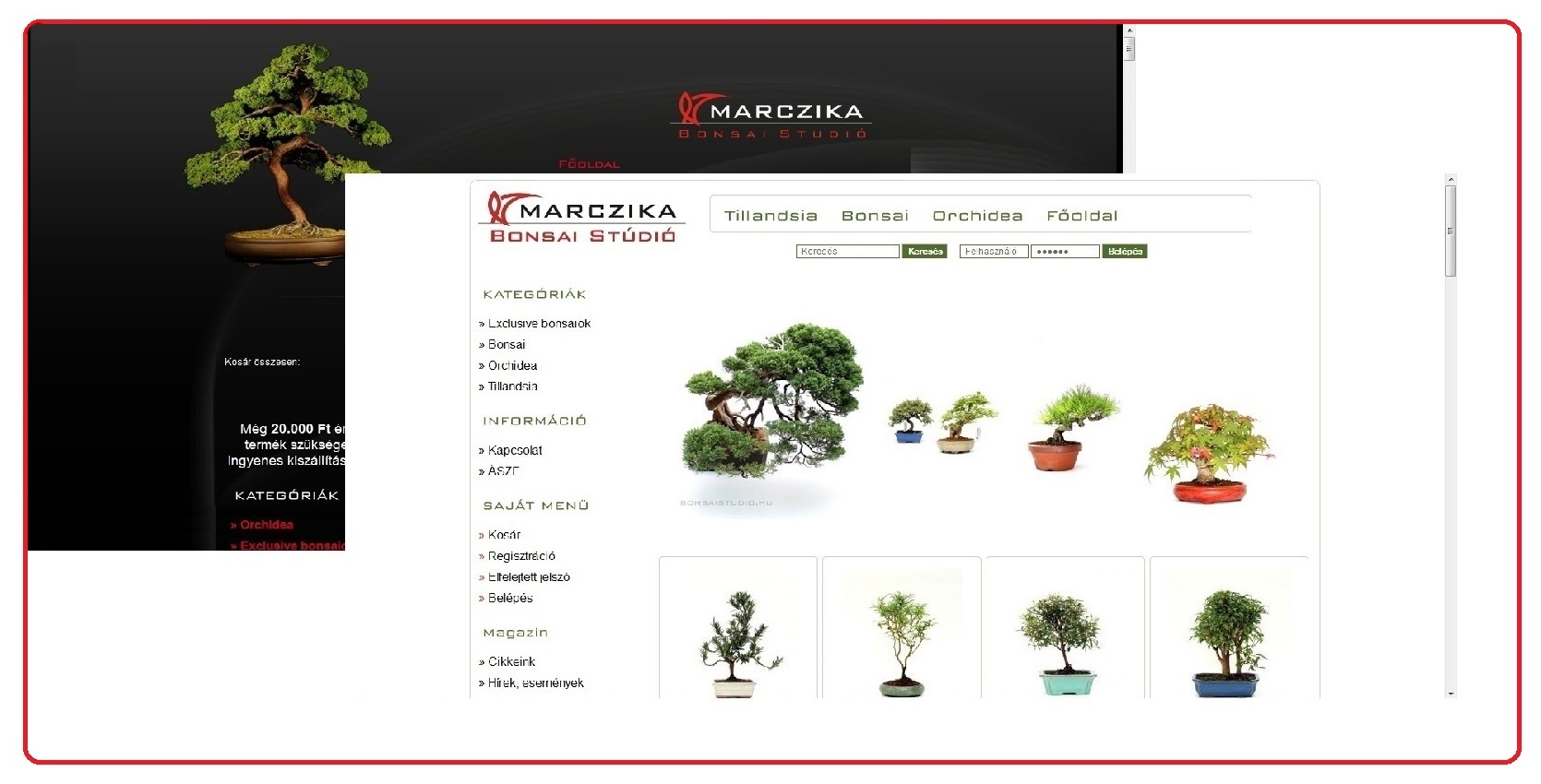 bonsai, vasarlas, bonsaj, rendeles, bonszaj, elado, akcio, webaruhaz, marczika, studio bonsai webaruhaz bonsai webshop internetes bonsai vasarlasi lehetoseg